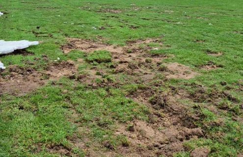 Стадион "Динамо"