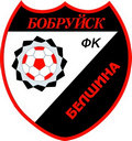 ФК Белшина. Логотип. Эмблема