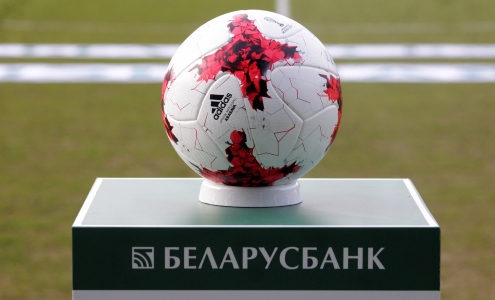 Чемпионат Беларуси 2017. Высшая лига 2017. Фото fcgomel.by