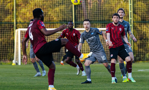 Чайка Песчанокопское