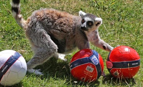 Уроки географии. Мадагаскар